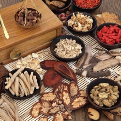 7 Cây Thuốc Nam Chữa Bệnh Tiểu Đường