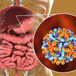 Triệu Chứng Viêm Gan B Giai Đoạn Đầu