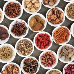 Bài Thuốc Đông Y Chữa Viêm Gan B