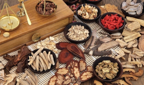 7 Cây Thuốc Nam Chữa Bệnh Tiểu Đường