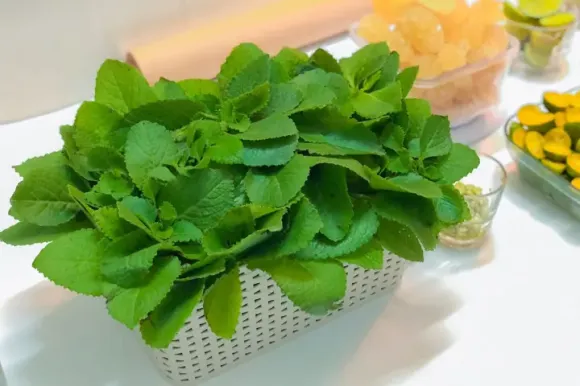 Triệu Chứng Mất Ngủ Kéo Dài: nguyên nhân, hệ quả, cách khắc phục