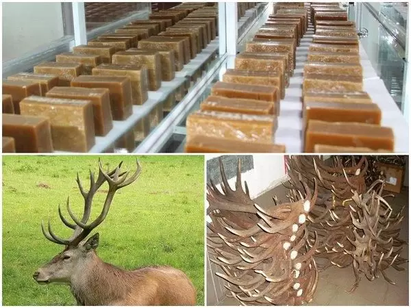 CTY TNHH DƯỢC PHẨM ĐẠI ĐỨC MẠNH