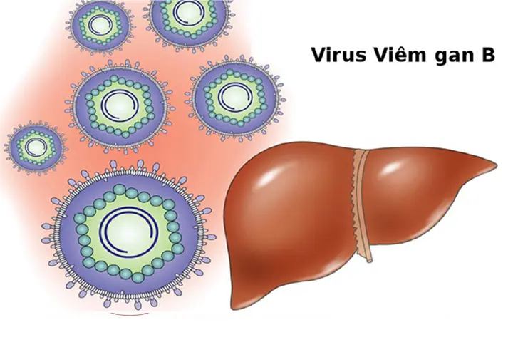 Nguyên nhân gây viêm gan B
