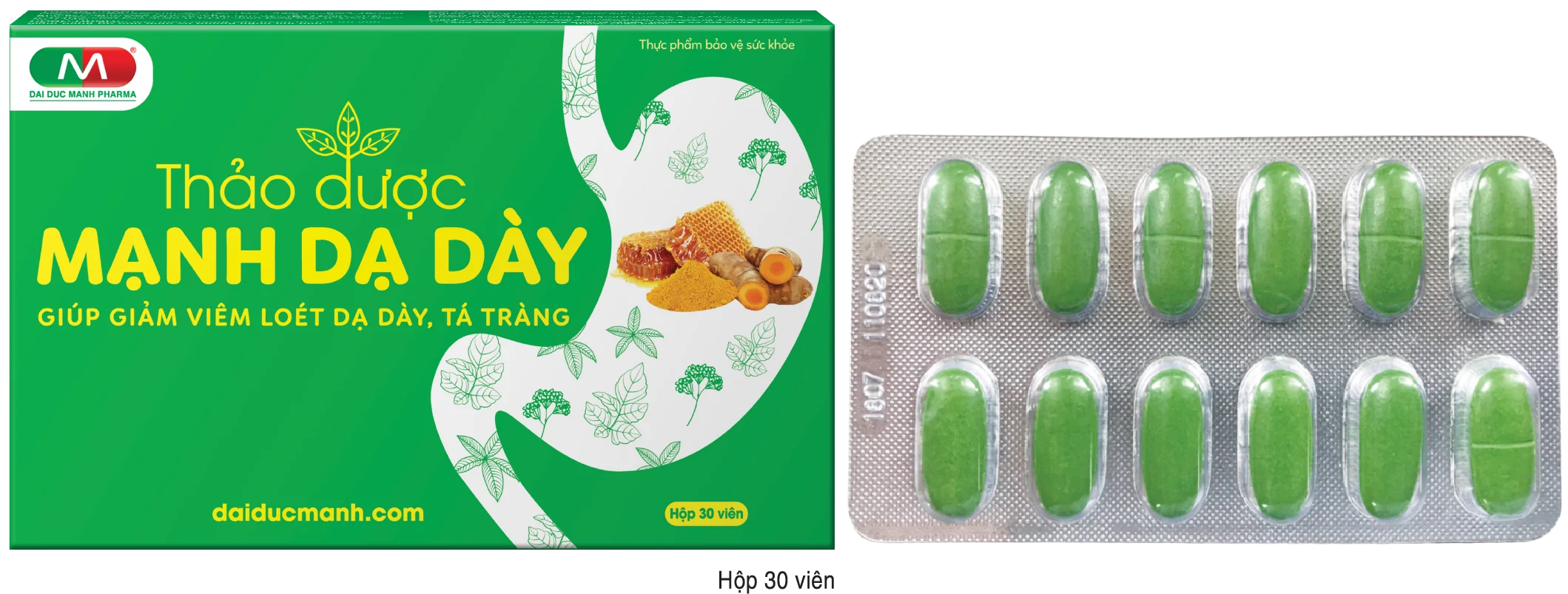 THẢO DƯỢC MẠNH DẠ DÀY